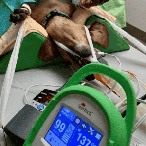 Vet Uderns Zillertal Anaesthesia